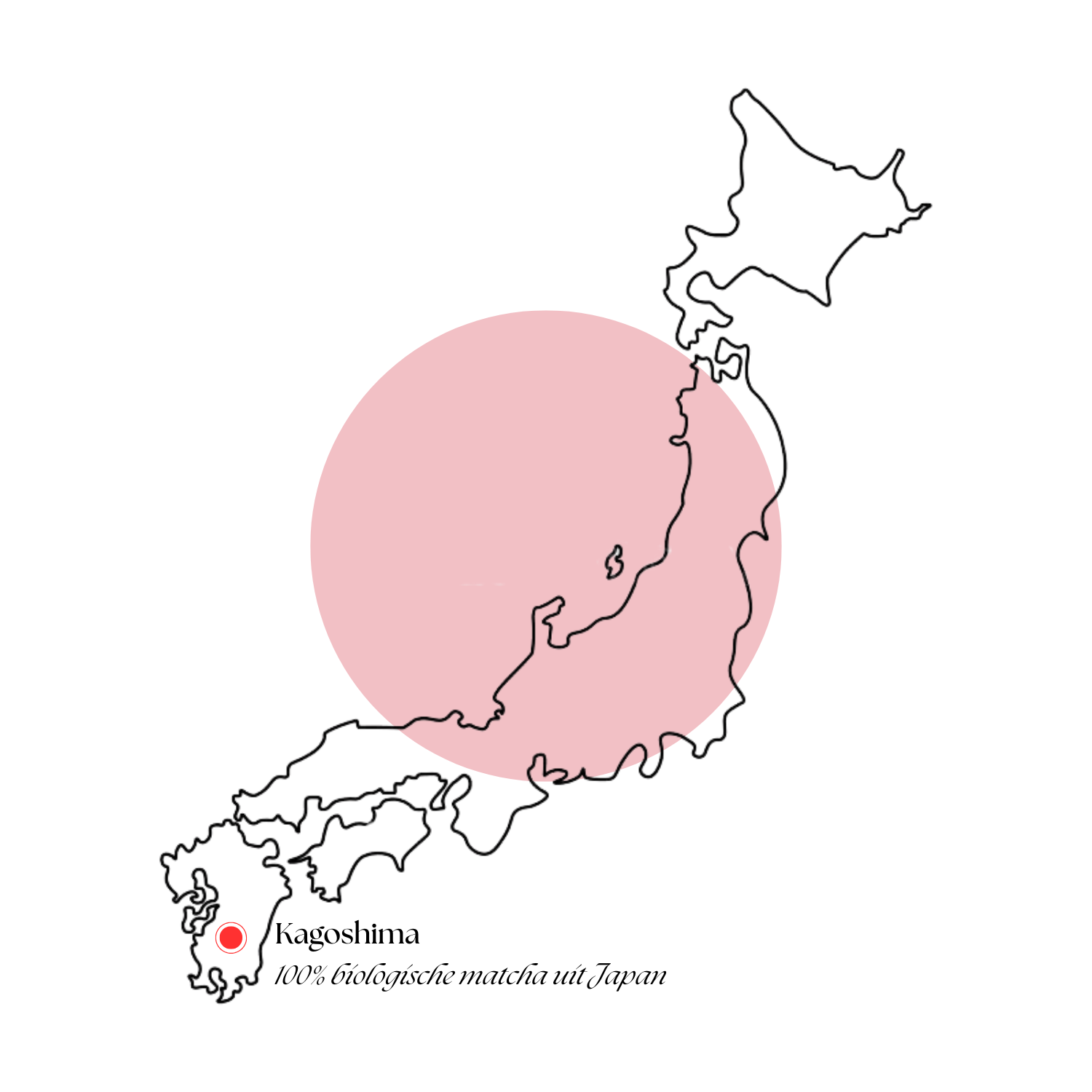 Premium Matcha Set - Wit